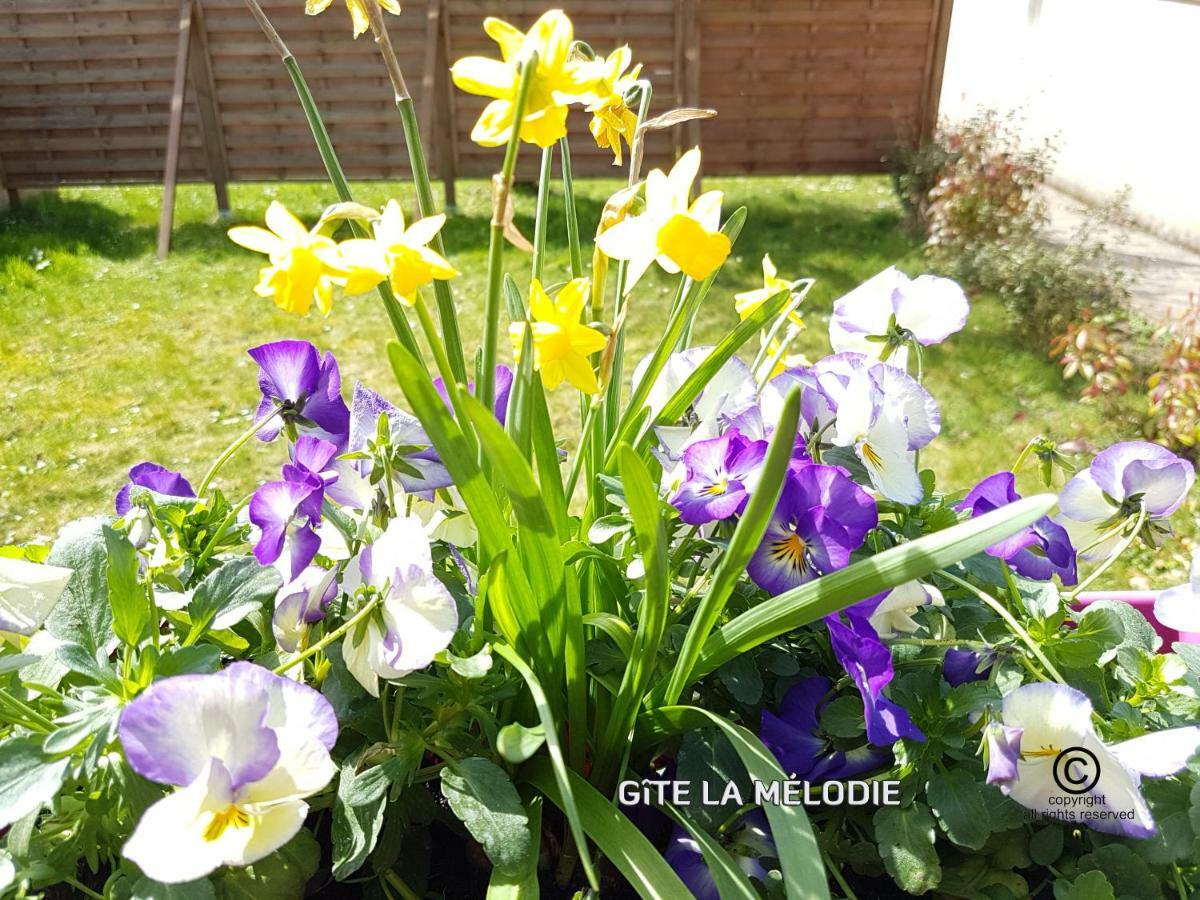 Gite La Melodie Longueville  Exteriér fotografie