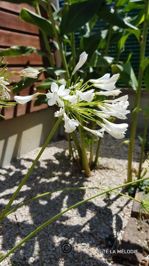 Gite La Melodie Longueville  Exteriér fotografie